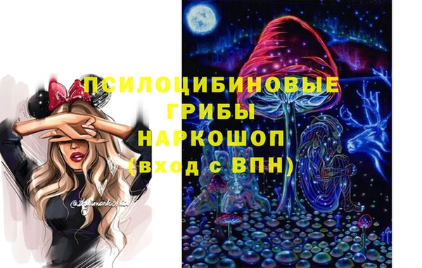 молекула духа Куйбышев